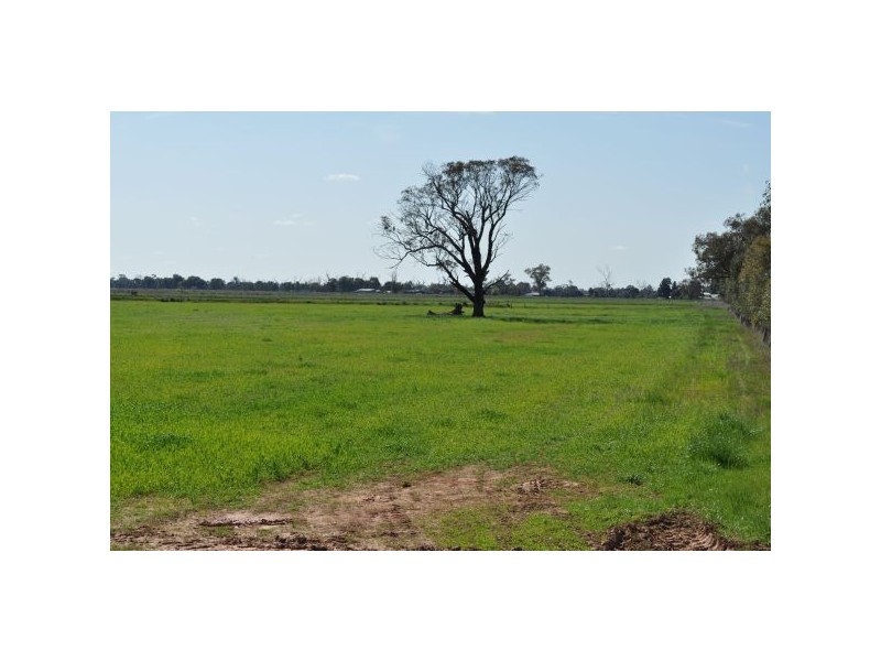 Tatura VIC 3616