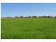Tatura VIC 3616