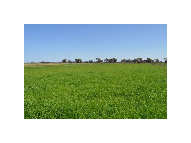 Tatura VIC 3616
