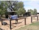 Tatura VIC 3616