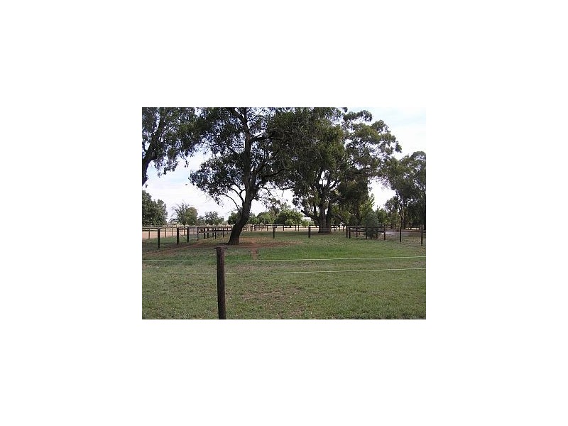 Tatura VIC 3616