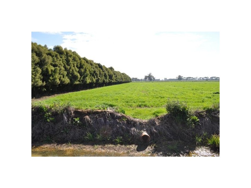 Tatura VIC 3616