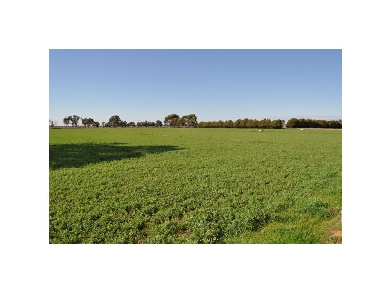 Tatura VIC 3616