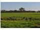 Tatura VIC 3616