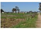 Tatura VIC 3616