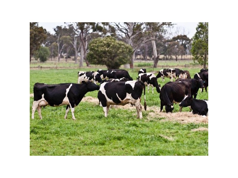 Tatura VIC 3616