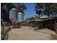 Tatura VIC 3616