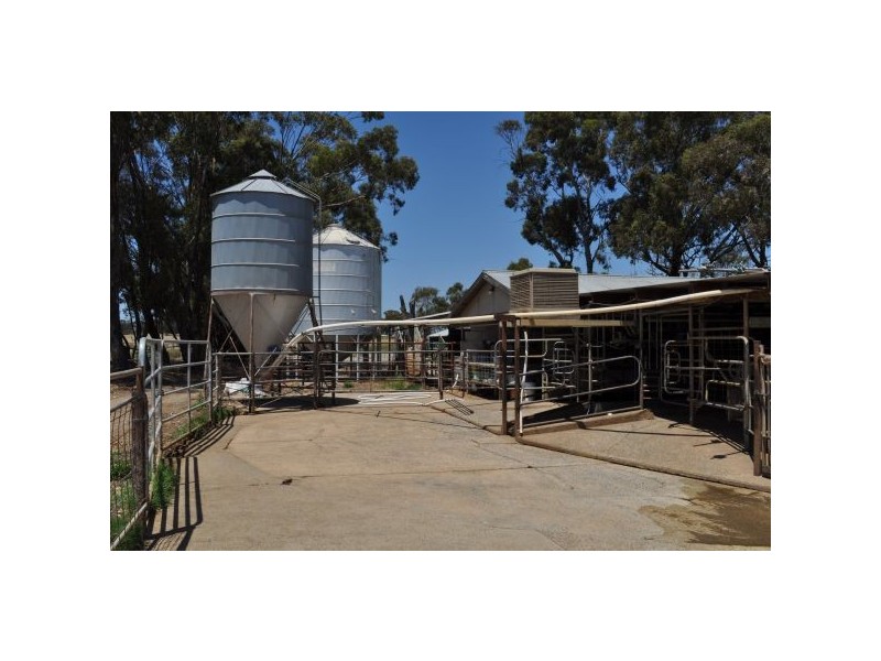 Tatura VIC 3616