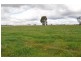 Tatura VIC 3616
