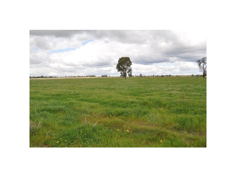 Tatura VIC 3616