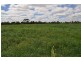 505 Murton Road, Tatura VIC 3616