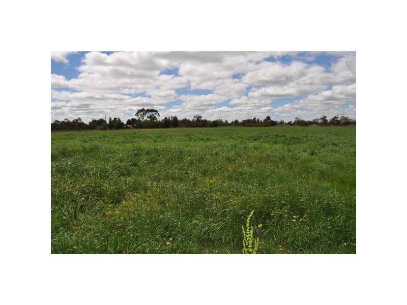 505 Murton Road, Tatura VIC 3616