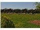 Kyabram VIC 3620