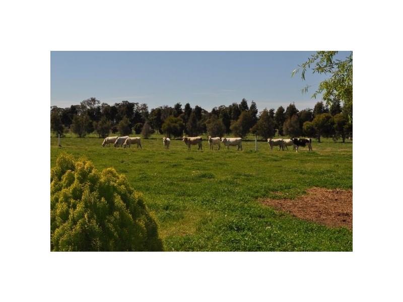 Kyabram VIC 3620