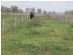 Picola VIC 3639