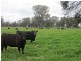 Benalla VIC 3672