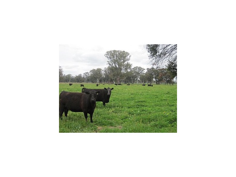 Benalla VIC 3672