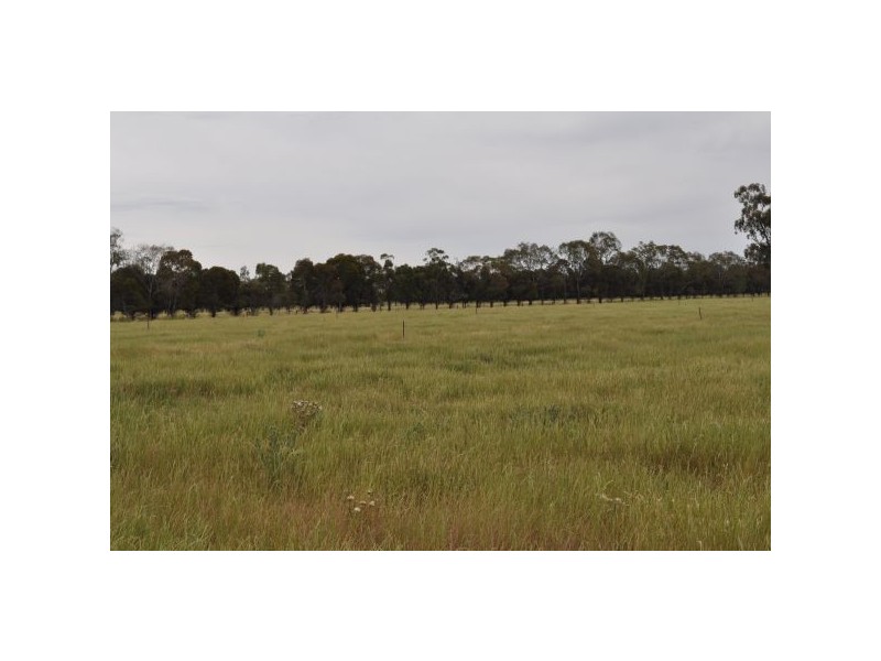 1335 Toolamba-Rushworth Rd, Tatura VIC 3616