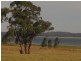 Waranga Shores VIC 3612