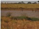 Waranga Shores VIC 3612