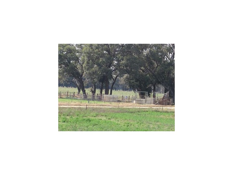 Strathmerton VIC 3641