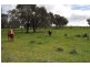 1730 Bitcon Rd, Tatura VIC 3616