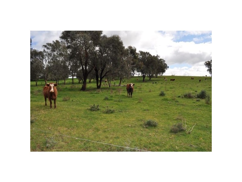 1730 Bitcon Rd, Tatura VIC 3616