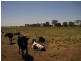 Kyabram VIC 3620