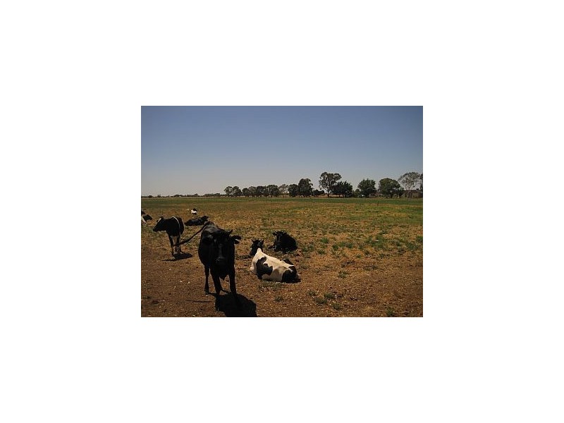 Kyabram VIC 3620
