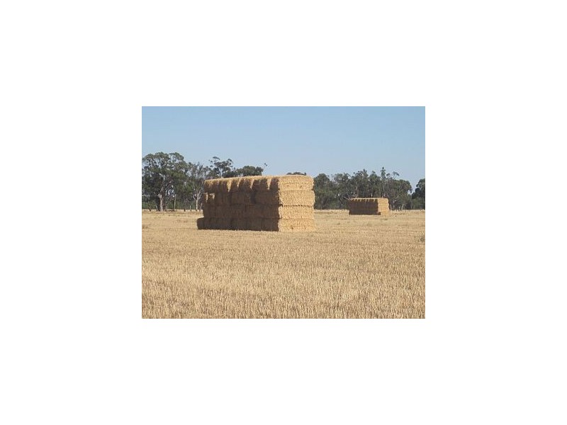 90 Golding Road, Kotupna VIC 3638