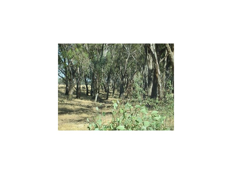 90 Golding Road, Kotupna VIC 3638