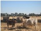 Kyabram VIC 3620
