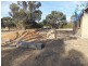 Tatura VIC 3616