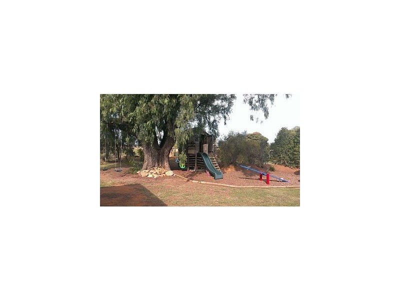 835 Bayunga Road, Toolamba VIC 3614