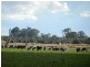 Stanhope VIC 3623