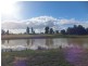 Tatura VIC 3616