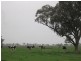 Lot 2 Robertson Road, Carag Carag VIC 3623