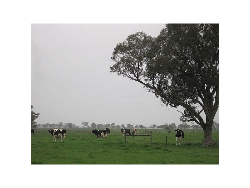 Lot 2 Robertson Road, Carag Carag VIC 3623