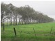 Carag Carag VIC 3623