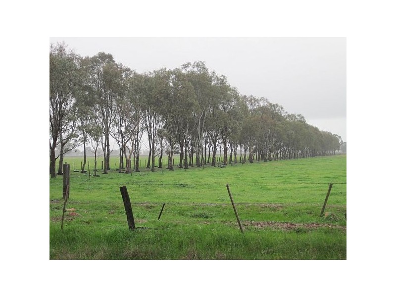 Carag Carag VIC 3623