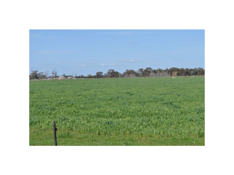 Tatura VIC 3616