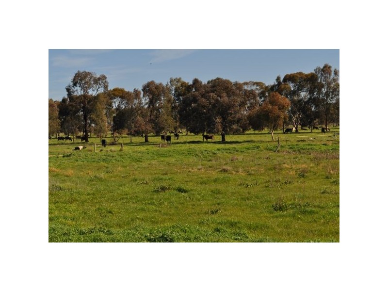 Tatura VIC 3616