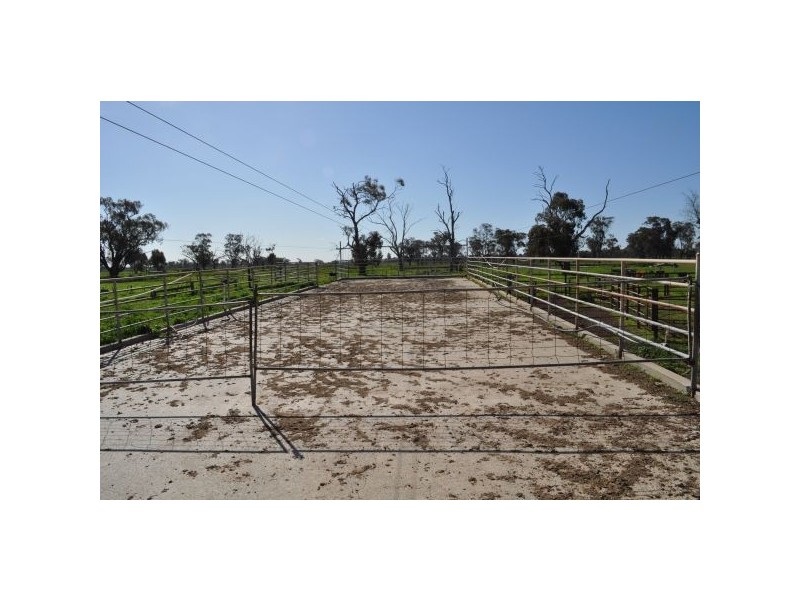 Tatura VIC 3616