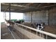 Tatura VIC 3616