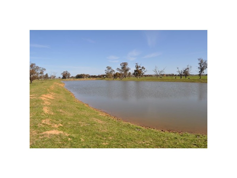 Tatura VIC 3616