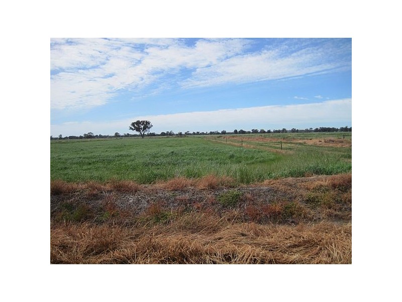 89 Sloleys Bridge Road, Numurkah VIC 3636