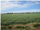 89 Sloleys Bridge Road, Numurkah VIC 3636