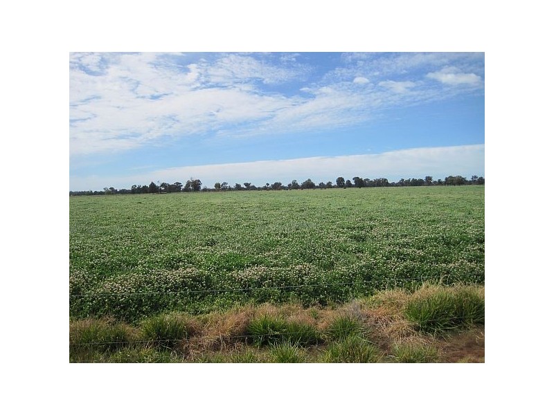 89 Sloleys Bridge Road, Numurkah VIC 3636
