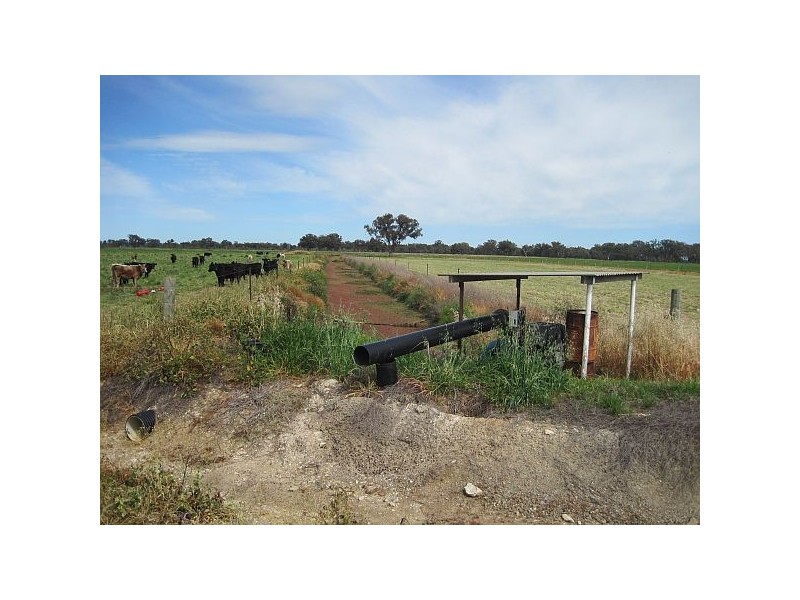 89 Sloleys Bridge Road, Numurkah VIC 3636