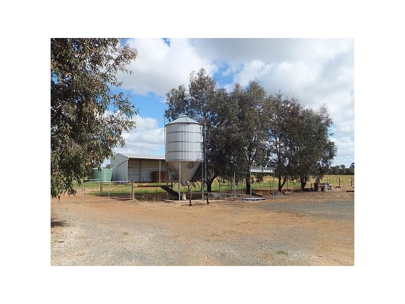 Tatura VIC 3616